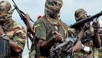 Boko Haram’a karşı internette kampanya başlatıldı