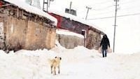 Soğuklar Doğu Anadolu Bölgesinde Etkisini İyice Hissettirmeye Başladı…