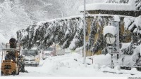 Kar Japonya da Can Aldı: 11 Ölü…