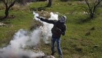 Foto: Ramallah Yakınlarında, Filistinli Gençlerle, Siyonist İşgal Güçleri Çatıştı…