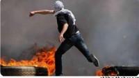 Filistinliler Geçen Hafta İşgal Güçleriyle 51 Kez Çatıştı…