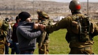 Korsan İsrail askerlerinin Batı Şeria bölgesinde 13 Filistinliyi gözaltına aldığı bildirildi…