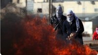 Filistinli Aktivistler Ma’ale Adumim – Kudüs Karayolunu Trafiğe Kapattı.