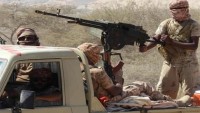 Suudilerin Kontrolü Altında IŞİD ve El-Kaide Eğitim Kampları Kuruluyor