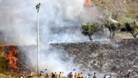 Siyonist Yerleşimciler Filistinlilerin buğday tarlalarını yaktı
