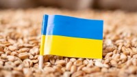 Ukrayna Büyükelçisi: Türkiye çalıntı tahıllarımızı satın alıyor