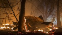 Kaliforniya’daki orman yangınlarında ölü sayısı artıyor
