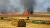 Uçurtmalar İsrail’de 17 yangına daha sebep oldu
