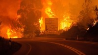 Portekiz’de Orman Yangınında Ölenlerin Sayısı Giderek Artıyor: 43 Ölü