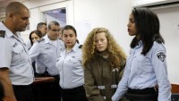AB’den Siyonist İsrail’e Filistinli çocuklara gözaltı tepkisi