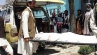 Afganistan’da müftüye bombalı saldırı
