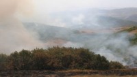 Tunceli’de 6 bölgede başlayan orman yangınları devam ediyor