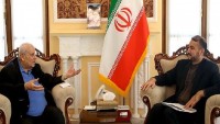 Emir Abdullahiyan: İran, Filistin halkını desteklemeye devam edecek