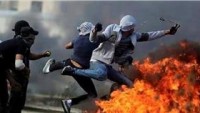 Filistin Kadoori Üniversitesi’nde 8 Öğrenci İsrail Askerlerinin Ateşiyle Yaralandı