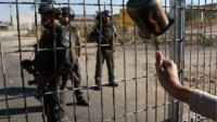 Filistinli Mahkumların Açlık Grevi On Yedinci Gününe Girdi