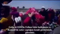 Video: Irak Alimler Birliği Başkanı Halid el-Molla IŞİD’in Irak’taki zulümlerini anlatıyor.