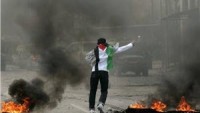 Filistinli Gençler Siyonist İşgal Güçlerine Çok Sayıda Molotof Kokteyli Attı
