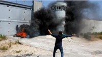 Geçen Hafta Filistinli Gençler 120 Kez İşgalci Askerlerle Çatıştı