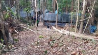 Malezya’nın Tayland sınırında göçmenlere ait toplu mezarlar bulundu