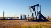 Dört büyük petrol ihracatçısı ülke ‘üretim’de anlaştı