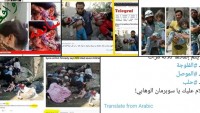 Batı Medyasının Halep Yalanları