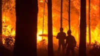 Portekiz’deki orman yangınlarında ölü sayısı 35’e yükseldi