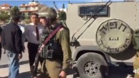 İşgalci İsrail çok sayıda Filistinliyi gözaltına aldı
