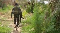 Hizbullah, 10 Nusra Teröristini Esir Aldı