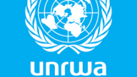 Filistinli mültecilere hizmetini kısıtlayan UNRWA’ya kendi çalışanlarından tepki