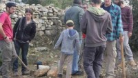 Yahudi Yerleşimciler Zeytin Toplayan Filistinli Çiftçilere Saldırdı