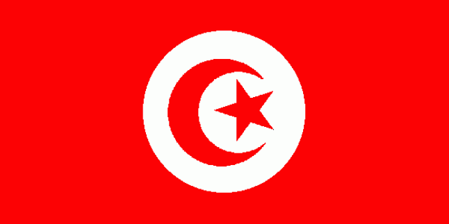 Tunus Cumhurbaşkanlığı Seçimleri 2. Tura Taşındı…