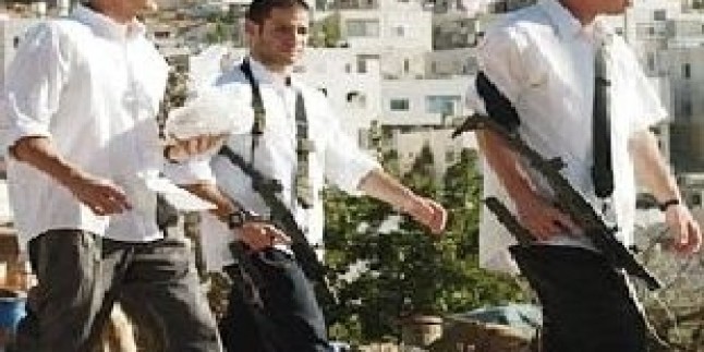 Yahudi Yerleşimciler Bu Kez Filistinlilerin Zeytin Ağaçlarına Saldırdılar…