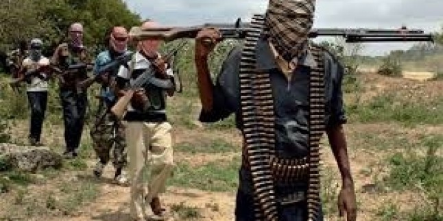 Boko Haram, 190 Rehineyi Serbest Bıraktı…