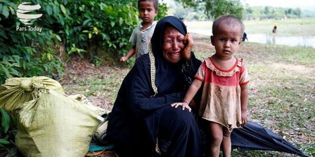 Rohingya’lı aktivist: Müslüman ülkeler Myanmar yönetimiyle ticari ilişkilerini kesmelidir