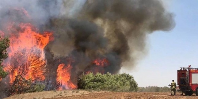 Yanan uçurtmalar, işgal topraklarında onlarca yangına yol açtı