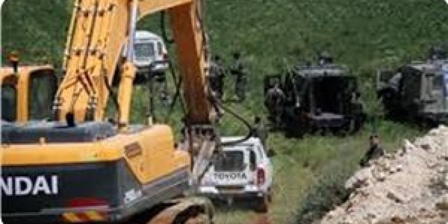 Siyonist İsrail Güçleri El-Halil ve Selfit’te Tarım Arazilerini Tahrip Etti