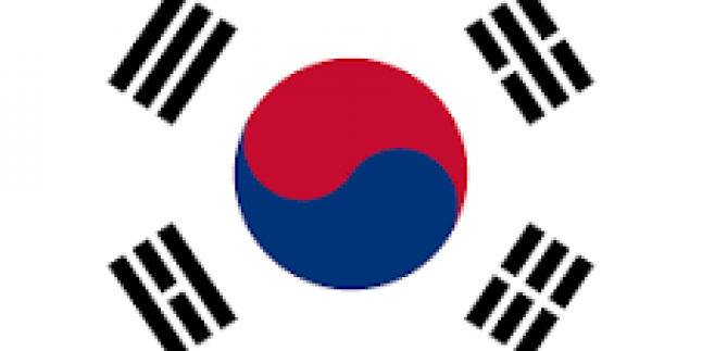 Güney Kore teyakkuzda
